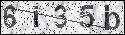 human verification image
