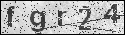 human verification image
