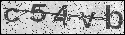 human verification image