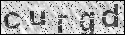 human verification image