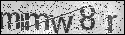 human verification image
