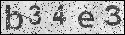 human verification image