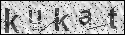human verification image