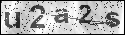 human verification image