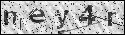 human verification image