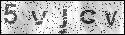 human verification image