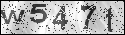 human verification image