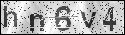 human verification image