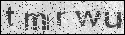 human verification image
