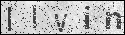 human verification image