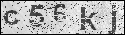 human verification image
