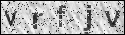 human verification image