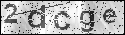 human verification image