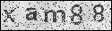 human verification image