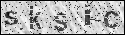 human verification image