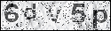 human verification image