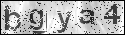 human verification image