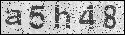 human verification image