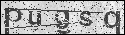 human verification image
