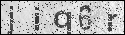 human verification image