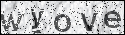 human verification image