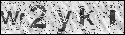human verification image
