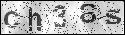 human verification image