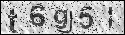 human verification image