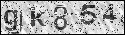 human verification image