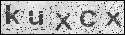 human verification image