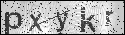 human verification image