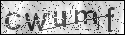 human verification image