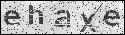 human verification image