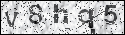 human verification image