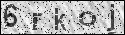human verification image