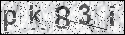 human verification image