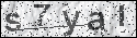 human verification image