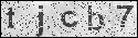 human verification image