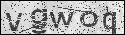 human verification image