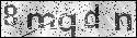 human verification image