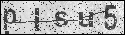 human verification image