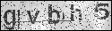 human verification image