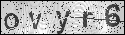 human verification image