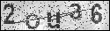 human verification image