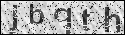 human verification image