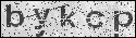 human verification image