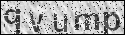 human verification image