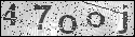 human verification image