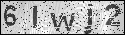human verification image