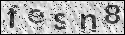 human verification image